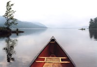 Pointing the Way Fine Art Print