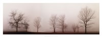 Misty Meadow by Ervin Clark - 38" x 14"