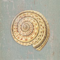 Sundial Fine Art Print