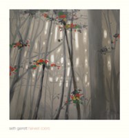 Harvest Colors Fine Art Print