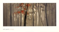 Fall Foliage Fine Art Print