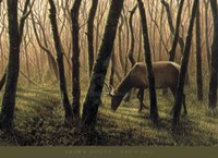 Day's End Fine Art Print