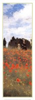 Field of Poppies (panel) Fine Art Print
