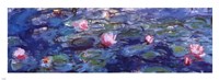 Water Lilies (blue and purple) Framed Print