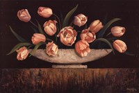 36" x 24" Tulips Pictures