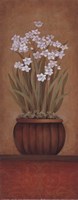 Paperwhites I - petite by 3 bamboo - 4" x 10"