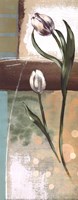 Floral Splendor III - petite Fine Art Print
