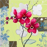 Orchids in Bloom IV Fine Art Print