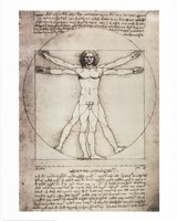 Vitruvian Man, 1492 Framed Print