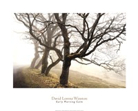 Early Morning Calm Fine Art Print