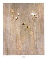 Vanilla Bloom II Framed Print