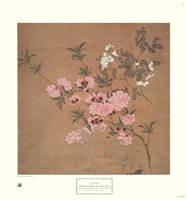Cherry Blossoms and Wild Roses Fine Art Print