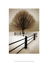 Solitude Fine Art Print