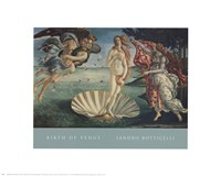 Birth of Venus Fine Art Print