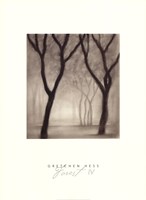 Forest IV Fine Art Print