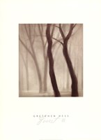 Forest III Fine Art Print