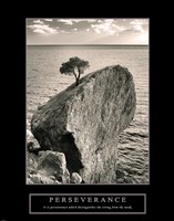 Perseverance - Lone Pinyon Tree Fine Art Print