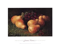 Pears and Grapes Fine Art Print