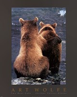 Two Bear Cubs Framed Print