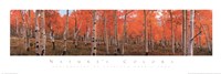 Autumn Trees by Jamie Cook - 36" x 12"