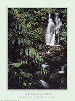 Rainforest Waterfall, Hawaii Fine Art Print