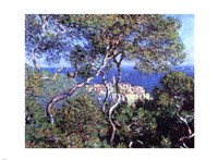 Bordighera, Trees Fine Art Print