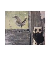 House Wren Fine Art Print