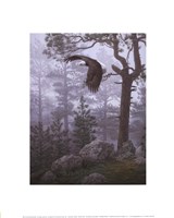 Shrouded Forest (detail) Fine Art Print