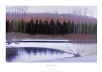 Cedars and Brook - Winter Fine Art Print