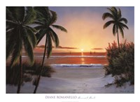 Sunset Sail Fine Art Print