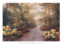 September Song by Diane Romanello - 38" x 28"
