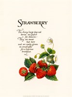 Strawberry Fine Art Print