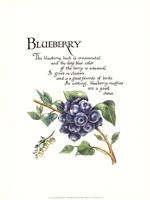 Blueberry Fine Art Print