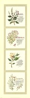 Kitchen Herbs I Fine Art Print