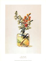 Snapdragon Scent Fine Art Print