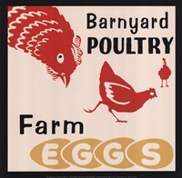 Barnyard Poultry-Farm Eggs by Retro Series - 12" x 12"