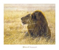 Danger on the Wind Fine Art Print