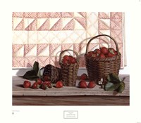 Strawberry Time by Pauline Eble Campanelli - 24" x 21"