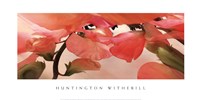 Sweet Peas 1 by Huntington Witherill - 36" x 18"