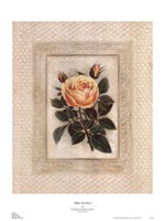Yellow Tea Rose I by Susan Davies - 20" x 27"
