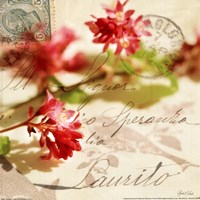 Vintage Letters and Pink Blossoms Fine Art Print