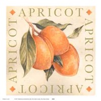 Apricot Fine Art Print