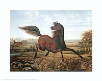 Neigh of an Iron Horse Fine Art Print