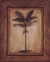 Palma I Fine Art Print