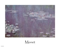 Nympheas B Fine Art Print