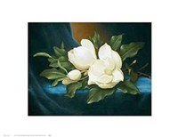 Magnolias Fine Art Print