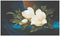 Magnolias Fine Art Print