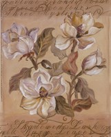 Magnolia l by Shari White - 8" x 10" - $9.99