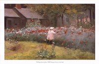The Poppy Garden Fine Art Print