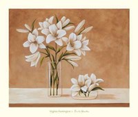 Lis Blanches Fine Art Print